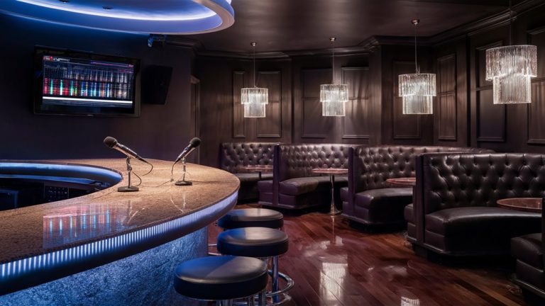 fun singing entertainment services